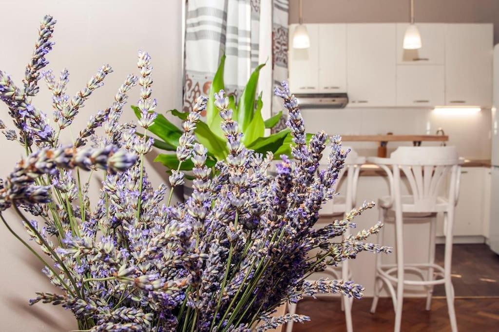 Apartment Pataky Zagreb Luaran gambar