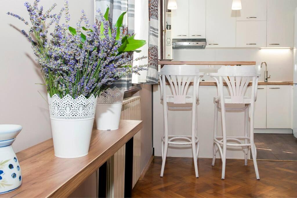 Apartment Pataky Zagreb Luaran gambar
